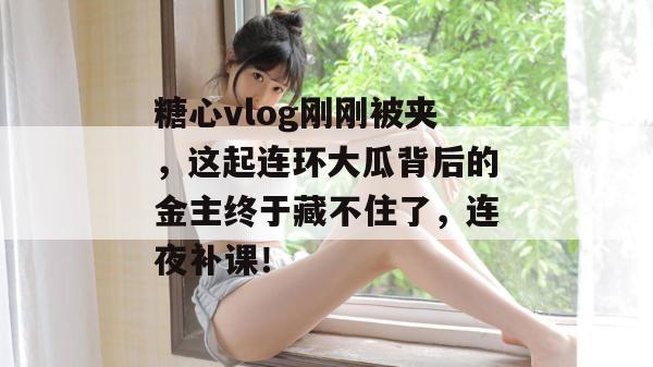 糖心vlog刚刚被夹,这起连环大瓜背后的金主终于藏不住了,连夜补课!